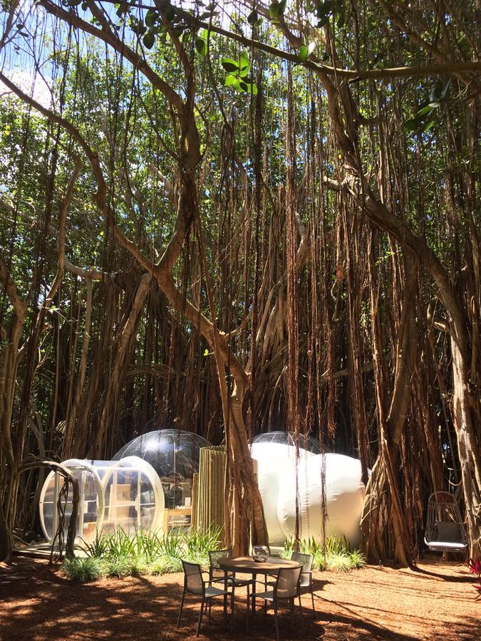 Bubble Lodge Ile Aux Cerfs Island Exterior foto